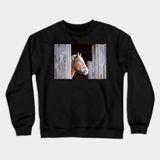 "Beauty in the Barn" Crewneck Sweatshirt